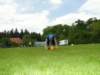 HWK 2012 081_small.jpg